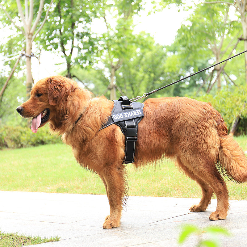 Personalization Of Pet Chest Strap Products - egenie store